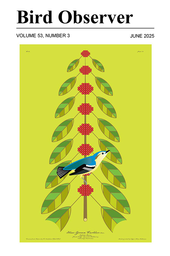 Cerulean Warbler by Don Carter